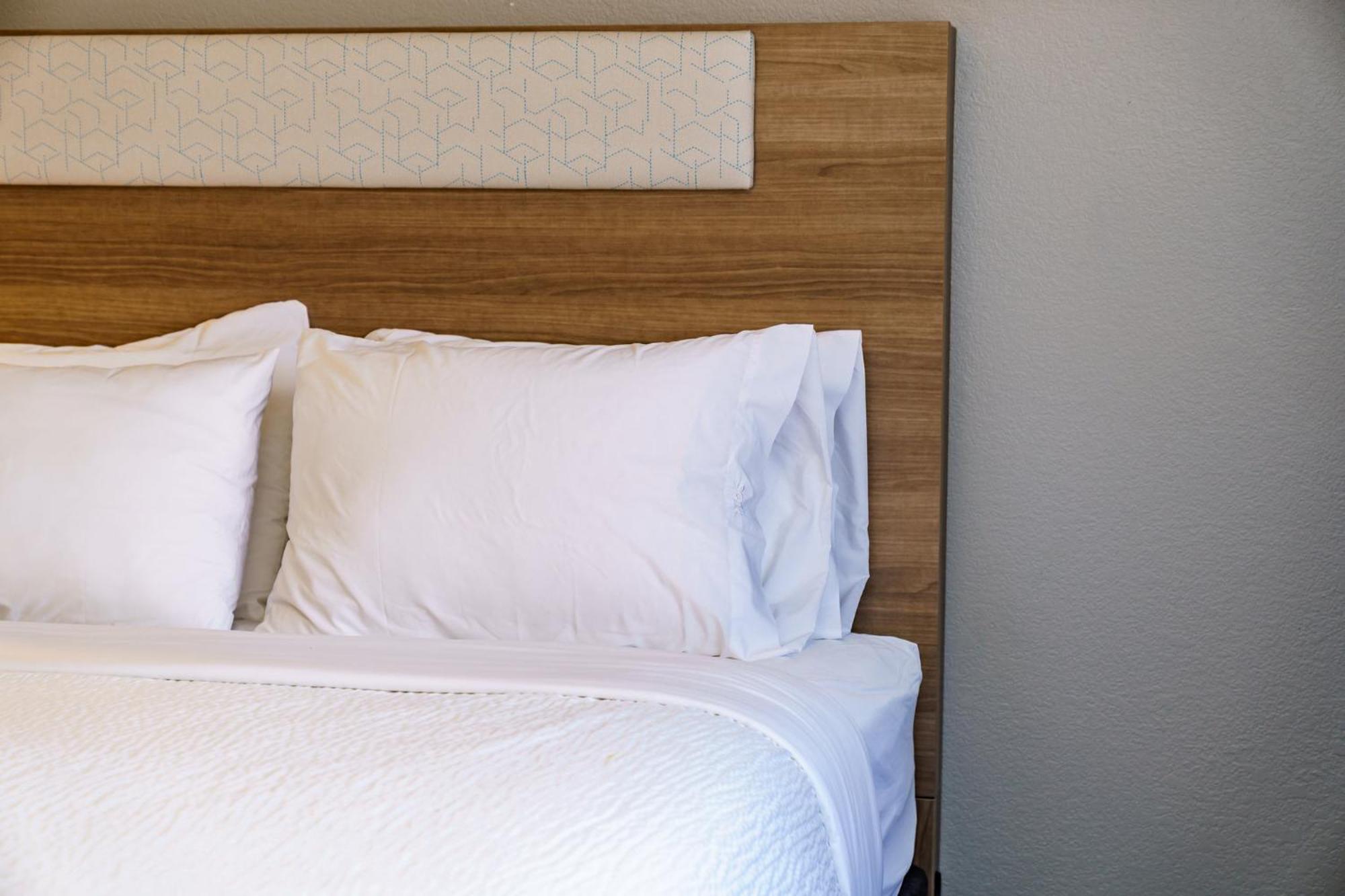 Holiday Inn Express Hotel Raleigh Southwest By Ihg Eksteriør billede
